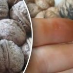 Kā mazgāt rokas pēc riekstiem: efektīvi veidi, kad vienkāršas ziepes