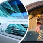 Karstuma vilnis pārsteidz Ukrainu: kā ātri atdzesēt automašīnas salonu bez