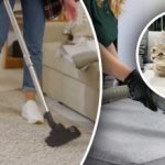 Neviena pēda nepaliks aiz muguras: 7 soļi, kā likvidēt urīna smaku no paklāja Neviena pēda nepaliks aiz muguras: 7 soļi, kā likvidēt urīna