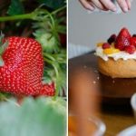 Raža būs pēc mēneša: kā audzēt zemenes mājās uz palodzes