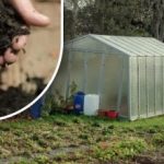 Siltumnīcas augsne “atdzīvojas” nedēļas laikā: vienkāršs dabisks līdzeklis, kas darbojas