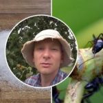 Skudras pazudīs nedēļas laikā: labākais veids, kā likvidēt kukaiņus dārzeņu