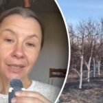 Iemesls, par kuru maz cilvēku zina: kāpēc rudenī baltina kokus Iemesls, par kuru maz cilvēku zina: kāpēc rudenī baltina kokus