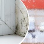 Kā atbrīvoties no mitruma un kondensāta uz logiem: vienkārši padomi, kas patiešām darbojas Kā atbrīvoties no mitruma un kondensāta uz logiem: vienkārši padomi,