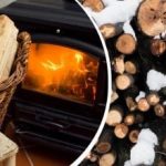 Neapstrādāta koksne degs kā sausa koksne: vienkārša metode, kas vienmēr darbojas Neapstrādāta koksne degs kā sausa koksne: vienkārša metode, kas vienmēr