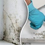 Pelējums pazudīs uz visiem laikiem: viens dabisks līdzeklis dara brīnumus bez ķimikālijām Pelējums pazudīs uz visiem laikiem: viens dabisks līdzeklis dara brīnumus