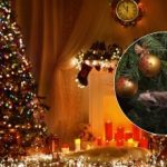 Sabojājiet savas brīvdienas: kur nevajadzētu likt Ziemassvētku eglīti Sabojājiet savas brīvdienas: kur nevajadzētu likt Ziemassvētku eglīti