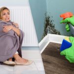 "Sēnītei pietiek ar nedēļu": ārsts stāsta, kad neapkurinātā mājā parādās pelējums “Sēnītei pietiek ar nedēļu”: ārsts stāsta, kad neapkurinātā mājā parādās